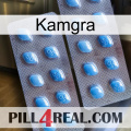 Kamgra viagra4